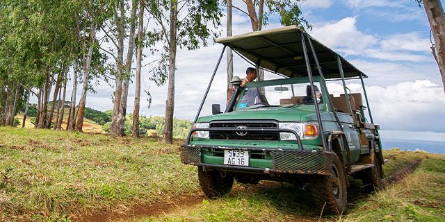 Bel ombre wilderness tour at bel ombre nature reserve (6)